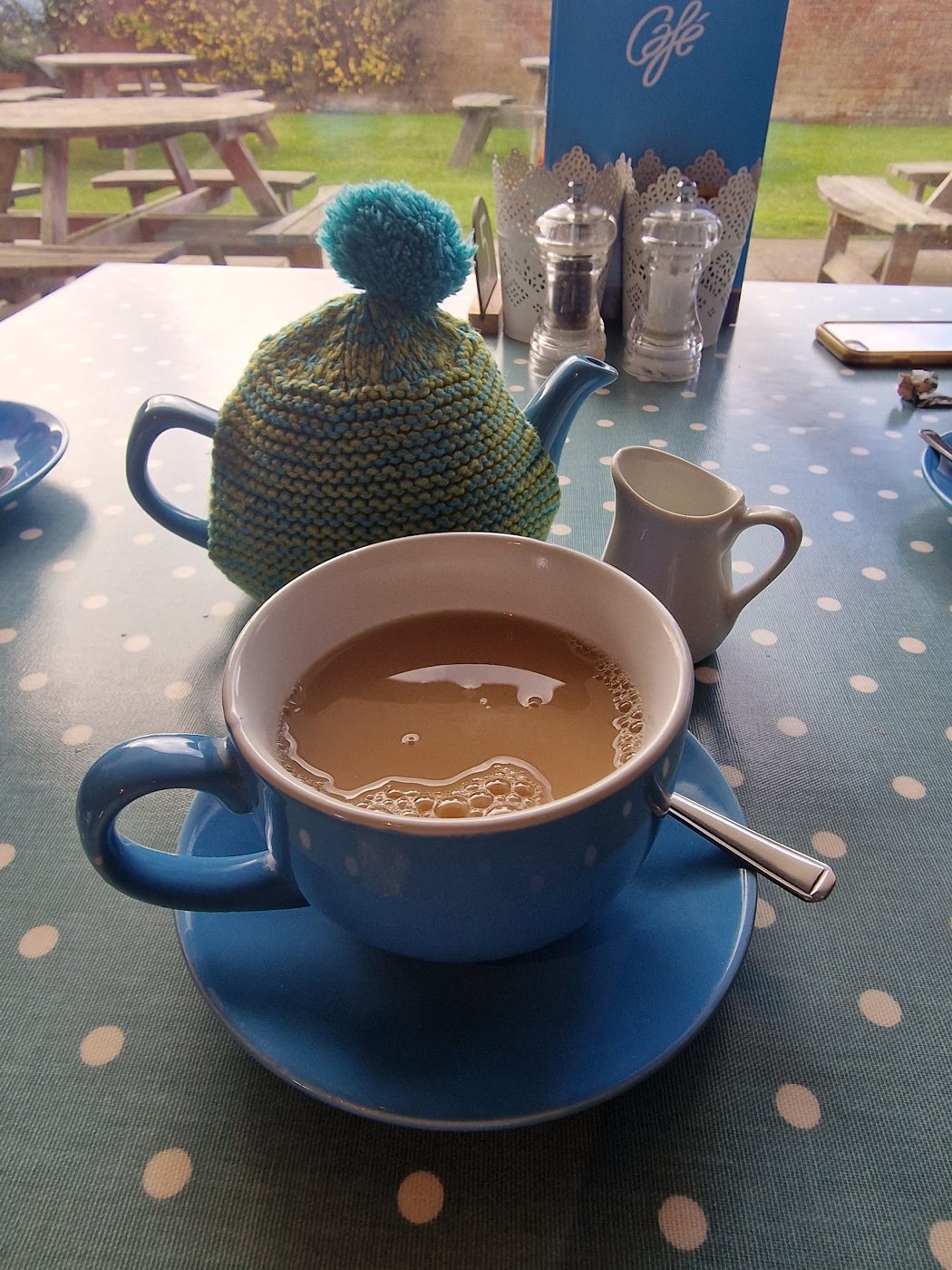 A teapot in a knitted cosy and a blue cup of tea